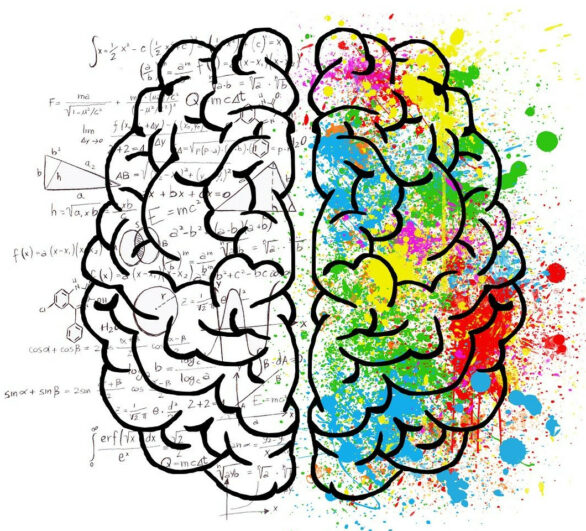 Gehirn_Webseite - Heilpraktiker für Psychotherapie - Dominik Feucht